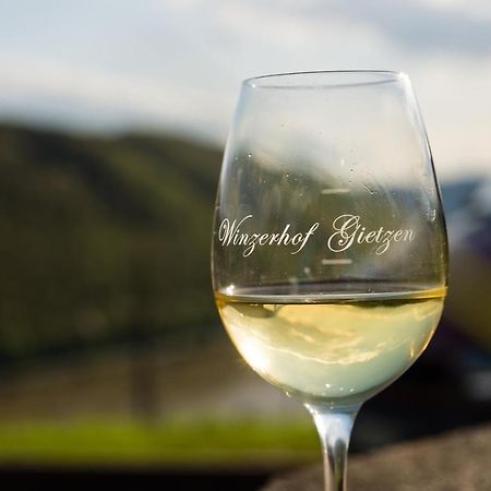 Hatzenport Winzerhof Gietzen酒店 外观 照片